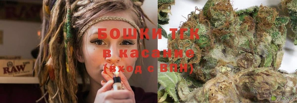 индика Белоозёрский